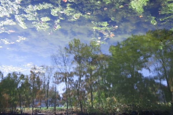 Photograph Michael Filonow Reflection3 on One Eyeland
